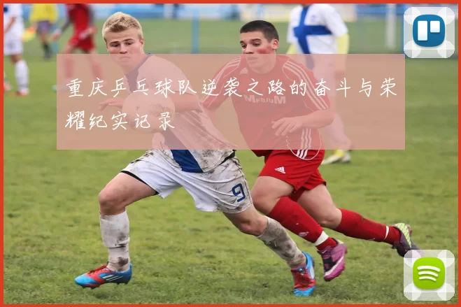 重庆乒乓球队逆袭之路的奋斗与荣耀纪实记录