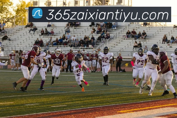 买球站发展历程